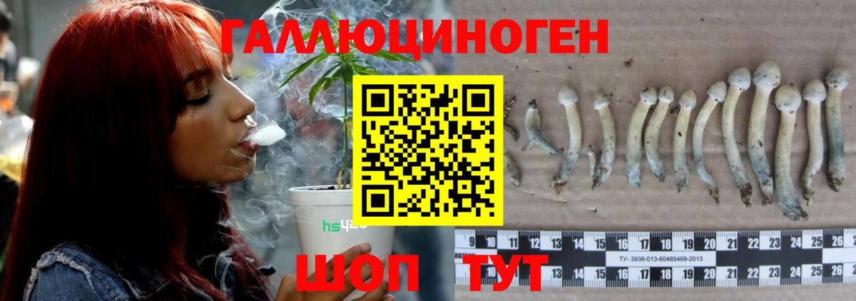 Галлюциногенные грибы ЛСД  Вход с VPN  Протвино 